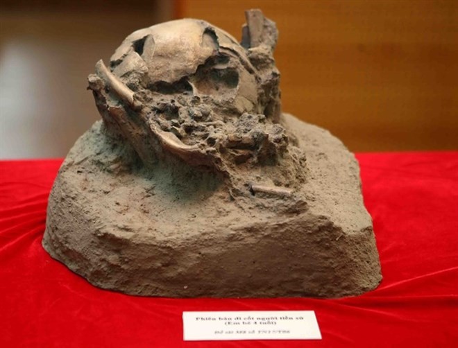 A copy of the remains of a young boy found in a volcanic cave. (Source: VNA)