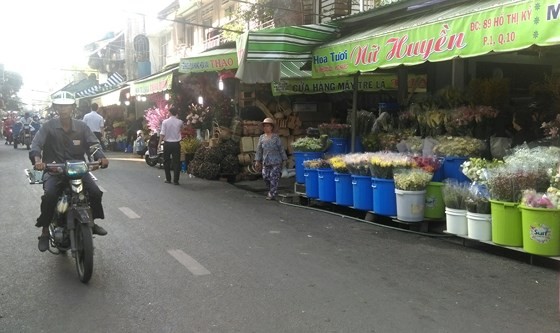 Ra máº¯t Phá» chuyÃªn doanh hoa Há» Thá» Ká»· áº£nh 3