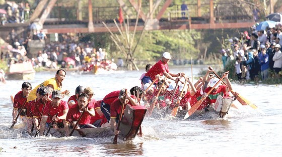 Traditional boat race in Vuc river (Photo: Sggp)