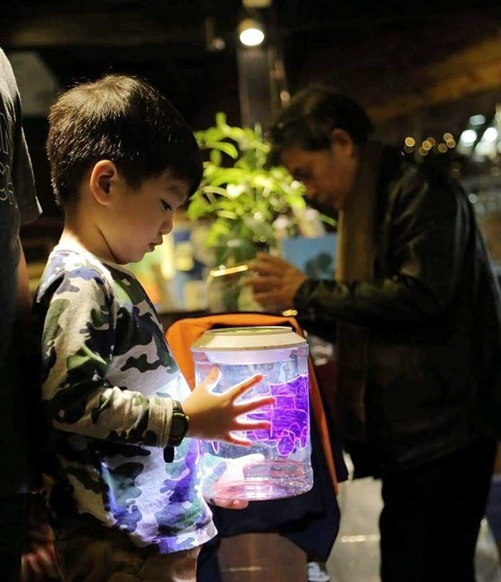 First Singapore cultural festival to be held in Hanoi ảnh 1 First Singapore cultural festival to be held in Hanoi ảnh 1