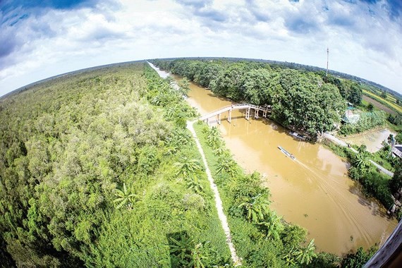 A corner of Hau Giang province (Photo: sggp)