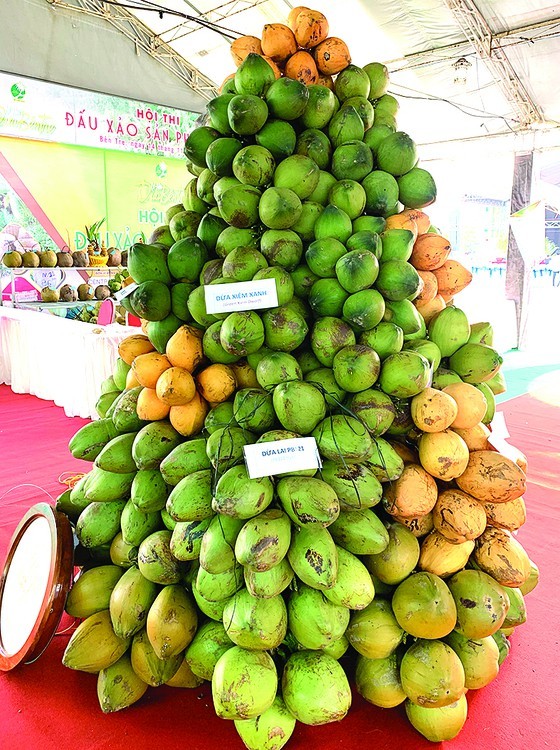 5th Ben Tre Coconut Festival opens ảnh 1 5th Ben Tre Coconut Festival opens ảnh 1
