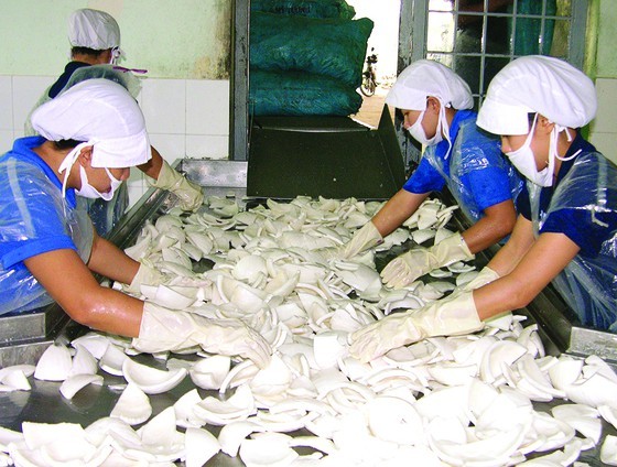 5th Ben Tre Coconut Festival opens ảnh 2 5th Ben Tre Coconut Festival opens ảnh 2