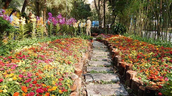 HCMC’s Spring Flower Festival 2020 to open on January 19 ảnh 1 HCMC’s Spring Flower Festival 2020 to open on January 19 ảnh 1