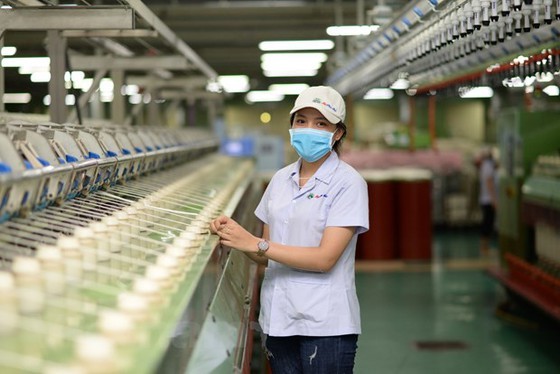 Local textile manufacturer supplies 300,000-400,000 face masks per day ảnh 1