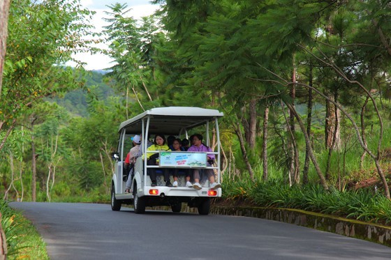 Travelers flock to Da Lat for some cool fresh air, avoid summer heat ảnh 7