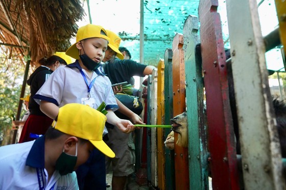 HCMC offers 5,000 free short trips to disadvantaged children, adults ảnh 3