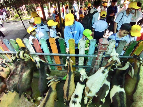 HCMC offers 5,000 free short trips to disadvantaged children, adults ảnh 4