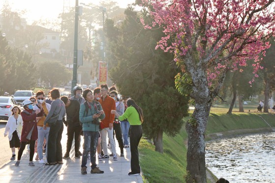 Da Lat City: Travelers, local people fined VND40 million for not wearing masks ảnh 1