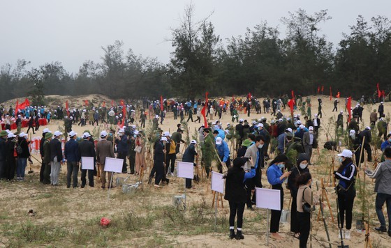 Annual Tet tree-planting campaign launched nationwide ảnh 2 Annual Tet tree-planting campaign launched nationwide ảnh 2