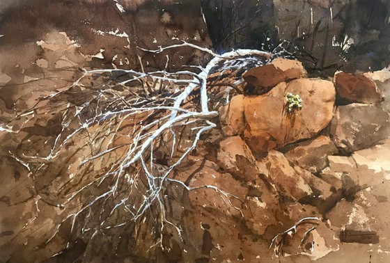 Painting exhibition of sacred land of Con Dao presented in HCMC ảnh 2 Painting exhibition of sacred land of Con Dao presented in HCMC ảnh 2