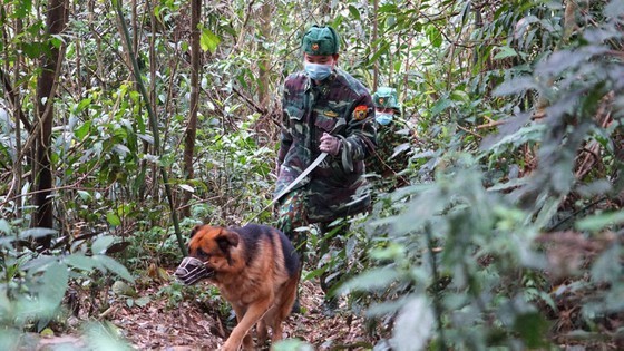 Border guards of Ha Tinh Province patrol along the border.