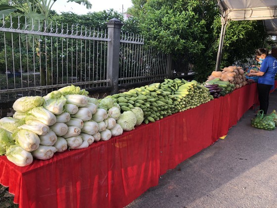 Charitable activities supporting needy people hit by pandemic held citywide ảnh 9