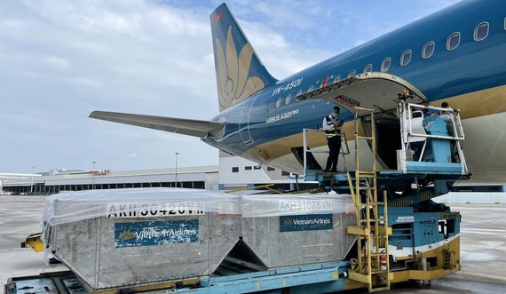 VNA airlifted 800 ventilators, 6.2 tons of medical supplies to HCMC ảnh 1 VNA airlifted 800 ventilators, 6.2 tons of medical supplies to HCMC ảnh 1