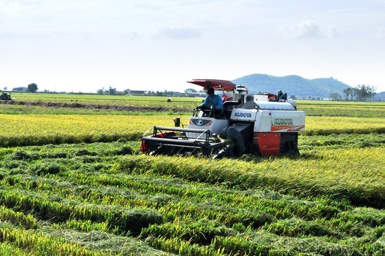 Earning activities of Mekong Delta’s locals during late flood ảnh 2