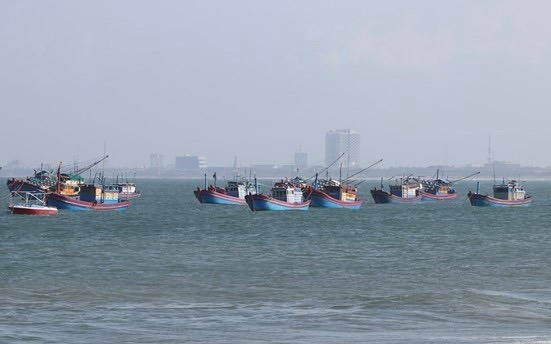 Directive issued to better preserve marine reserves ảnh 1 Directive issued to better preserve marine reserves ảnh 1