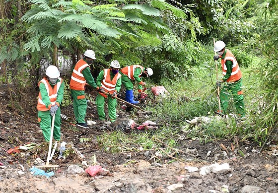 HCMC developing clean, green residential areas ảnh 4