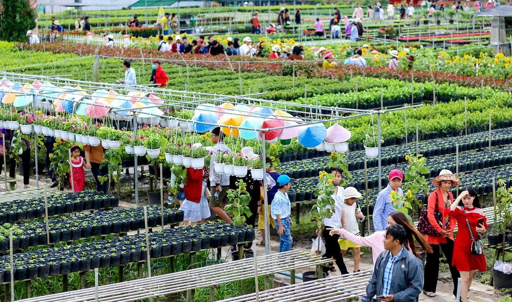 Many visitors visit Sa Dec flower village.