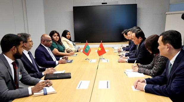At the meeting between Deputy PM Tran Luu Quang and FM of the Maldives Abdulla Shahid. (Photo: VNA)