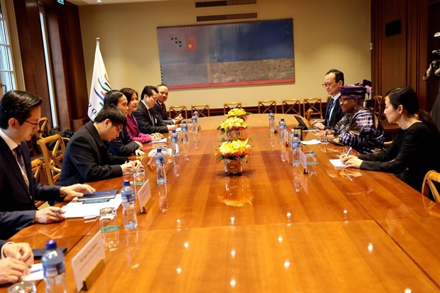 At the meeting between Deputy PM Tran Luu Quang and WTO Director-General Ngozi Okonjo-Iweala. (Photo: VNA)