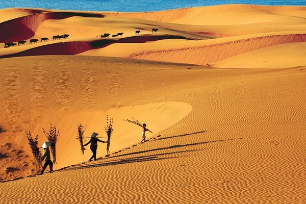 Sand dunes in Mui Ne of Binh Thuan (Photo: VNA) Sand dunes in Mui Ne of Binh Thuan (Photo: VNA)