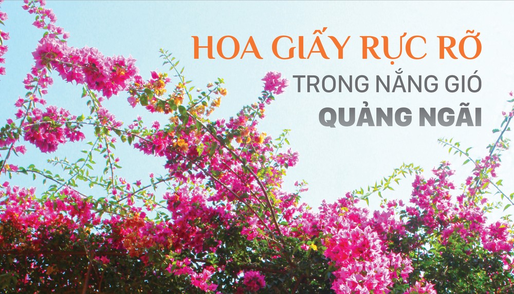 Bougainvillea blooms almost year-round and brilliant blooms in summer.