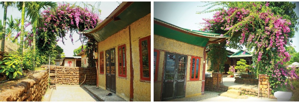 A lot of Bougainvillea plants are grown at Minh Duc Pagoda