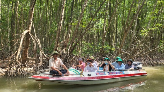 Visitors explore Ca Mau national park. (Photo: SGGP) Visitors explore Ca Mau national park. (Photo: SGGP)
