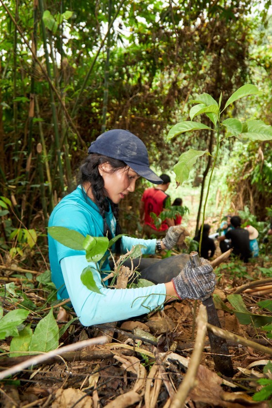 Miss Universe Vietnam 2017 H’Hen Niê planned to grow five hectares of forest after five years of winning at the Miss Universe Vietnam 2017 beauty pageant. Miss Universe Vietnam 2017 H’Hen Niê planned to grow five hectares of forest after five years of winning at the Miss Universe Vietnam 2017 beauty pageant.
