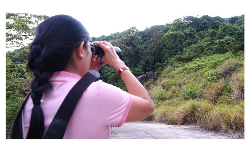 Visitors are required to stay at a minimum distance of 500 meters from the animals and see them through binoculars.
