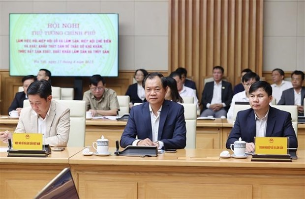 Delegates at the conference (Photo: VNA)