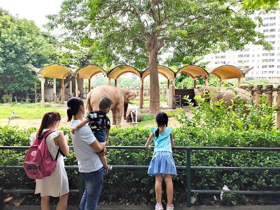 Saigon Zoo and Botanical Garden is one of the most fascinating tourist attractions in HCMC. (Photo: SGGP)