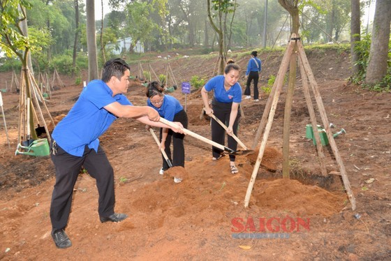 The People’s Committee of Thu Duc City has coordinated with the Management Board of the National Historical and Cultural Park to implement a project on building gardens on an area of nearly 40 hectares in the park. (Photo: SGGP) The People’s Committee of Thu Duc City has coordinated with the Management Board of the National Historical and Cultural Park to implement a project on building gardens on an area of nearly 40 hectares in the park. (Photo: SGGP)