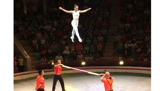 The Vietnam Circus Federation will present a special circus show at Hoa Binh Theater in HCMC’s District 10 on May 28 – June 3. The Vietnam Circus Federation will present a special circus show at Hoa Binh Theater in HCMC’s District 10 on May 28 – June 3.