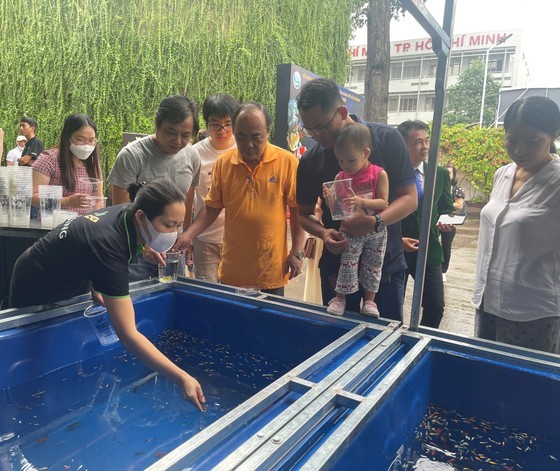Many different valuable ornamental fish varieties are displayed in aquariums. (Photo: SGGP) Many different valuable ornamental fish varieties are displayed in aquariums. (Photo: SGGP)
