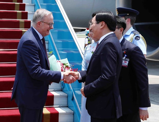 Australian Prime Minister Anthony Albanese (left) is welcomed at the Noi Bai International Airport by Minister – Chairman of the Vietnamese Government Office Tran Van Son. (Photo: VNA) Australian Prime Minister Anthony Albanese (left) is welcomed at the Noi Bai International Airport by Minister – Chairman of the Vietnamese Government Office Tran Van Son. (Photo: VNA)