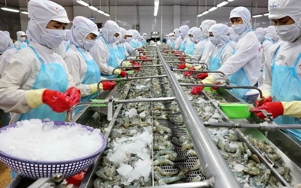 Shrimp processing (Photo: VNA)