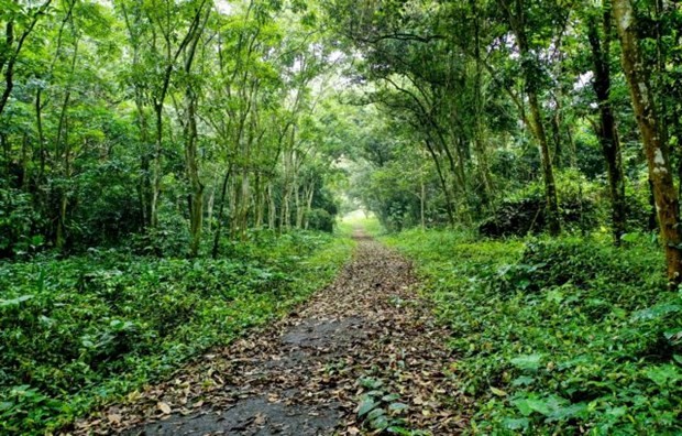 Cuc Phuong National Park has been named 'Asia’s Leading National Park' by the World Travel Awards for the fifth consecutive year. (Photo daidoanket.vn) Cuc Phuong National Park has been named 'Asia’s Leading National Park' by the World Travel Awards for the fifth consecutive year. (Photo daidoanket.vn)