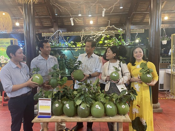 HCMC currently has 66 3-4 star OCOP products. (Photo: SGGP)