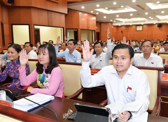 Delegates pass resolution on establishing the municipal Department of Food Safety. (Photo: SGGP)