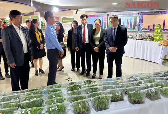Da Lat’s typical products, OCOP (One commune one product) products, outstanding rural industrial products, plant-breeding technology are displayed at the event. (Photo: SGGP) Da Lat’s typical products, OCOP (One commune one product) products, outstanding rural industrial products, plant-breeding technology are displayed at the event. (Photo: SGGP)