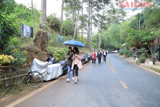 An outdoor art display on Ly Tu Trong Street in Da Lat City An outdoor art display on Ly Tu Trong Street in Da Lat City