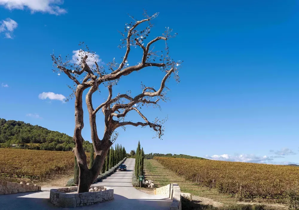 Artist Tia-Thuy Nguyen shapes the artwork based on the original structure of the dead, 18-meter-tall oak tree, and welded several stainless steel leaves on.