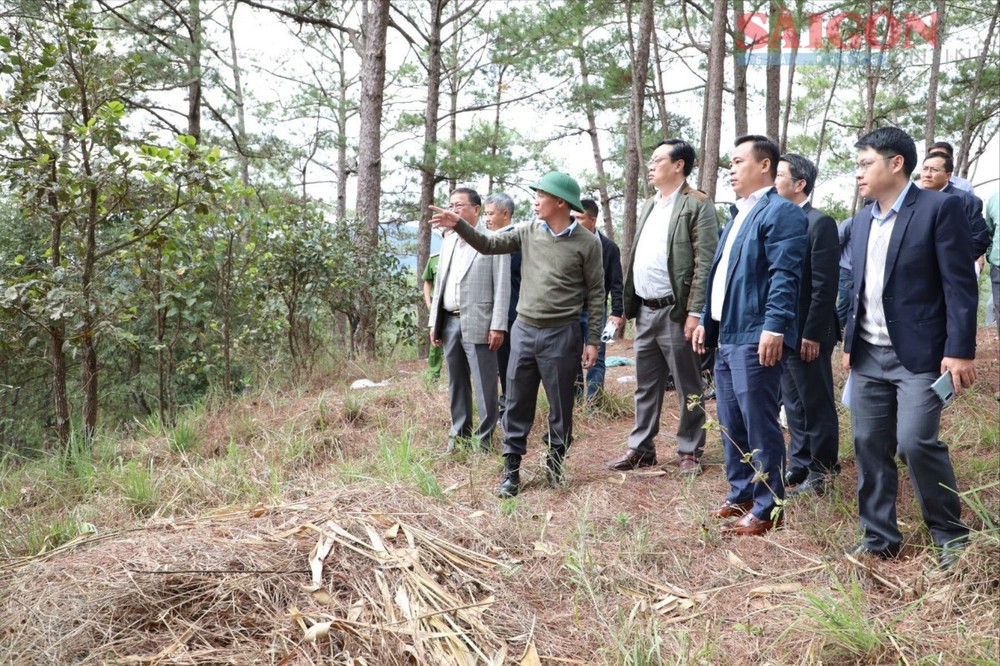 03693a79f1d8598600c9-7113-7864-7773jpg-600.jfif