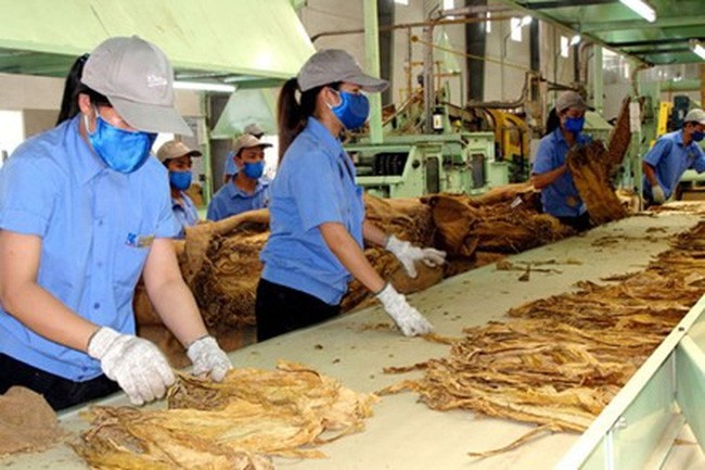 (illustrative photo: chinhphu.vn) thuoc-la-1695720018216403625161-5878.jpg