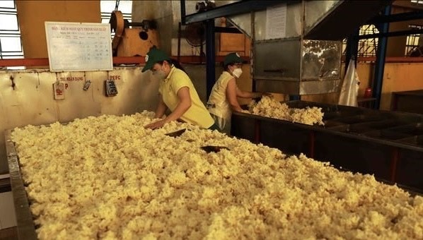 Rubber processing at a factory of Phu Rieng company. (Photo: VNA) 436636058_1145557163361785_4329274212025814690_n.jpg