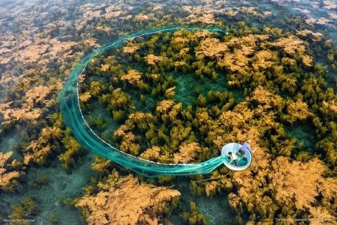 The beauty of natural landscape in Vietnam (Photo: Tran Tuan Viet) z5835922125652-f9adf277aceda0859b65ecd1e5811ebc-5775jpg-1040.jpg.webp