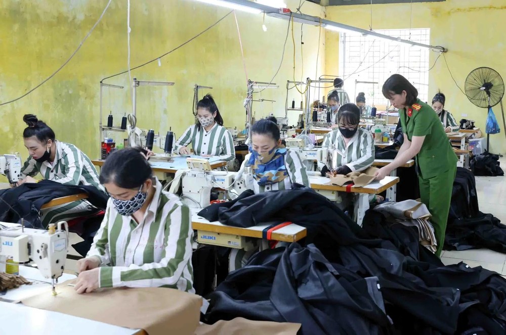Inmates at Xuan Nguyen and Quang Ninh prisons are provided with vocational training and informed about the Party’s and State’s humane and lenient policies towards individuals convicted and serving prison terms. (Photo: VNA) vna_potal_cac_trai_giam_tich_cuc_chuan_bi_san_sang_cho_dot_dac_xa_nam_2024_7624588-1629x1080.webp