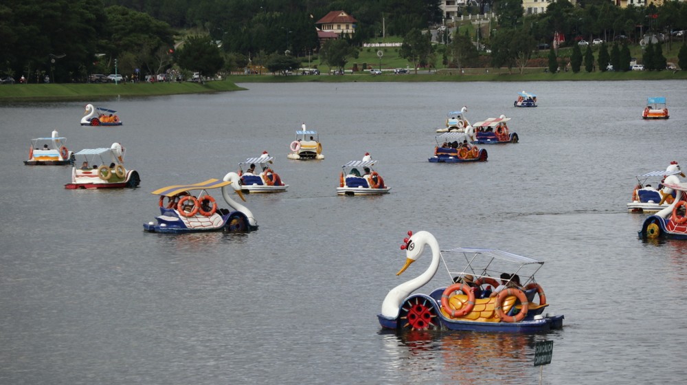 Da Lat tops list of most searched destinations for upcoming Lunar New Year. (Photo: SGGP) dalat14.jpg