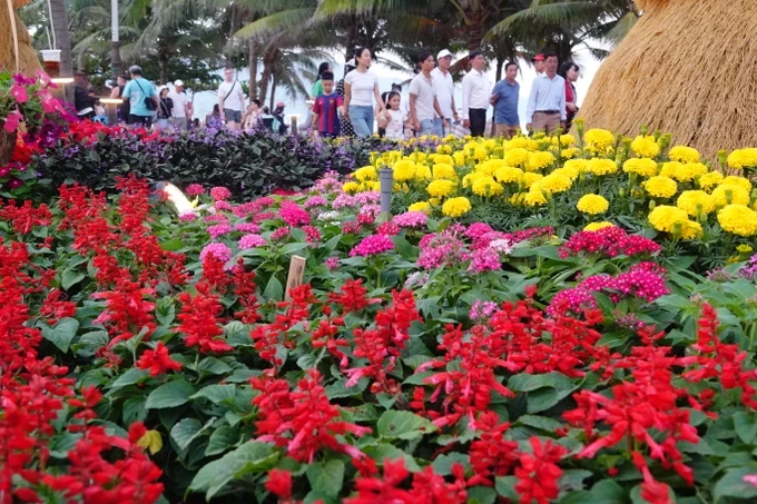 dsc08703-2927-7078.jpg